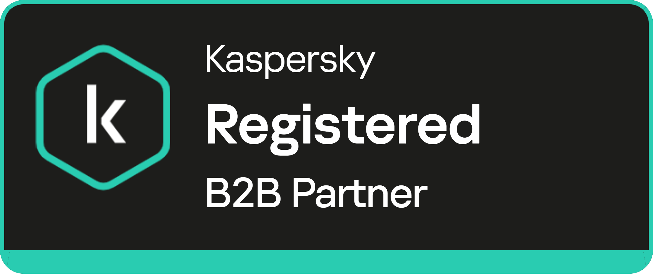 Kaspersky Partner